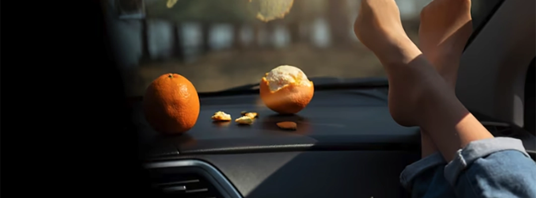 2-alimentos al interior de un carro